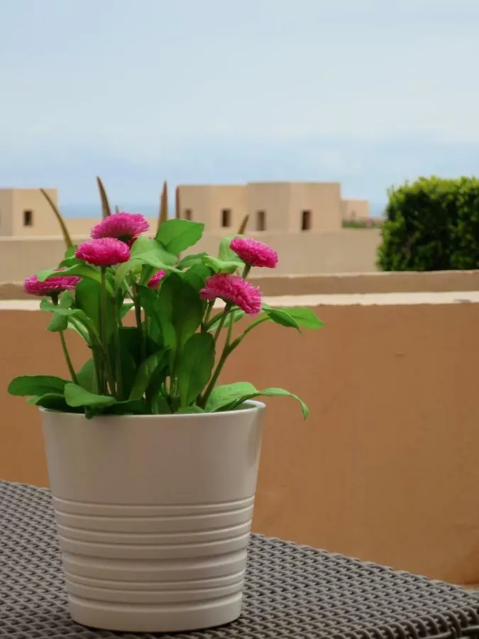 Atalaya De Mojacar Apartment